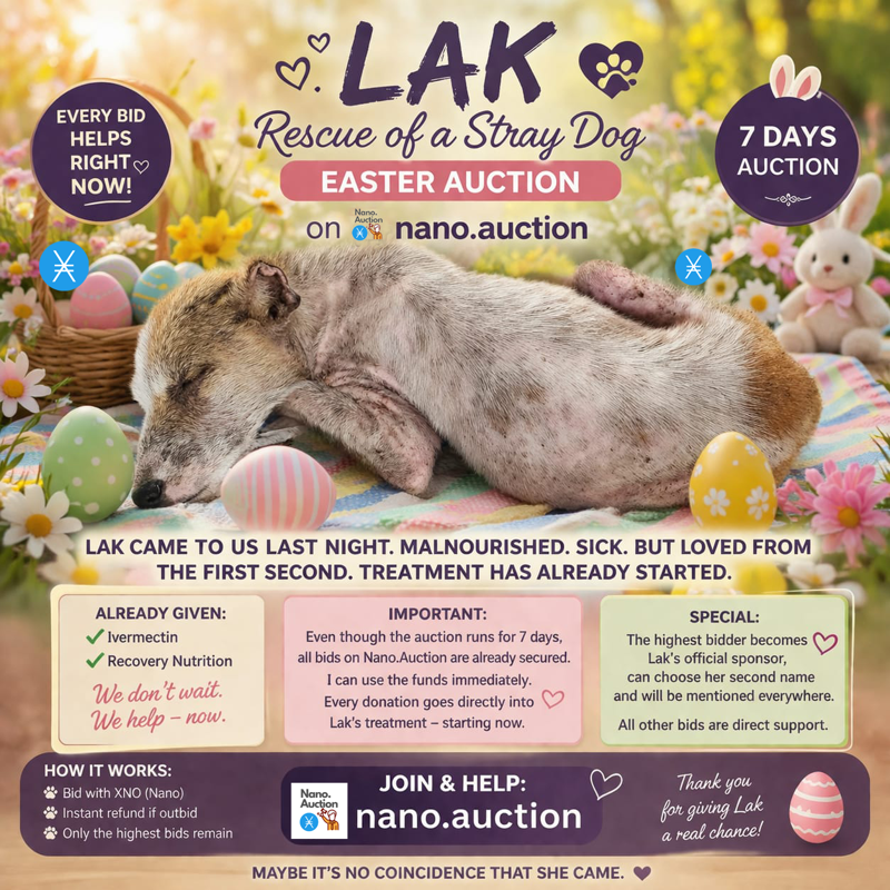 Lak – Rescue of a Stray Dog (Easter Auction)